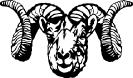 Dall_Sheep_Ram_stylized