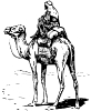 camel_with_rider_BW