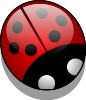glossy_ladybug