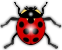 Ladybug_glossy