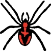 spider_black_red_spots