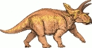 Anchiceratops_dinosaur