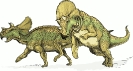 Avaceratops_dinosaur