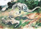 Dryptosaurus_fighting