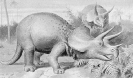 triceratops_3