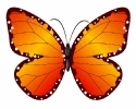vlinder019