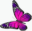 vlinder021