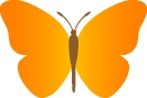 vlinder024