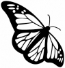 vlinder048