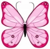 vlinder054