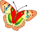 vlinder062