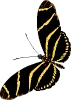 vlinders21