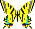 vlinders91