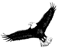 eagle_2