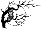 Owl_in_tree