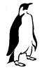penguin_formal