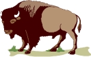 buffalo_USGS