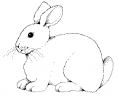 bunny_BW