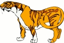 tiger_1