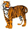 tiger_4