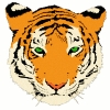 tiger_head_2