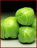 brussel_sprouts.