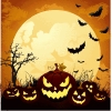 moonlight_halloween_pumpkins_266955