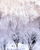 foto winter_53