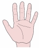 hand_palm_forward_T