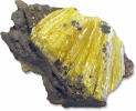 Legrandite__yellow_zinc_arsenate_hydroxide