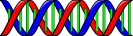 double_helix_DNA