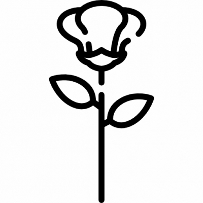 011-rose