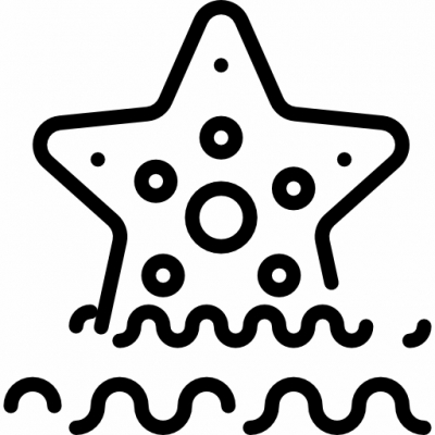 028-starfish