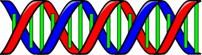 double_helix_DNA