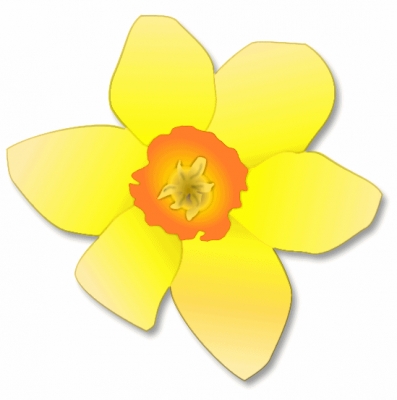 Daffodil_bloom_T