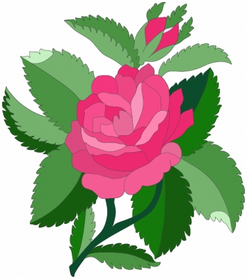 Rose_and_leaves_T