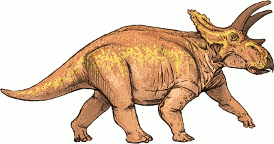 Anchiceratops_dinosaur