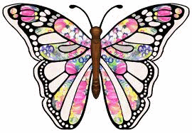 vlinder053