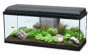 aquarium01b