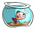 aquarium065b