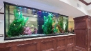 aquarium106b
