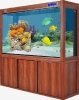 aquarium111b