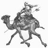 camel_w_rider