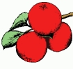apples_