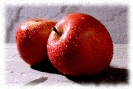 Apples_Picture