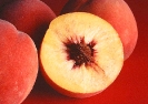 autumn_red_peaches