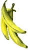 banana_bunch_sm