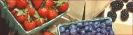 berries_banner