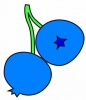 blueberries_1