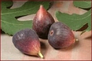 fig_1
